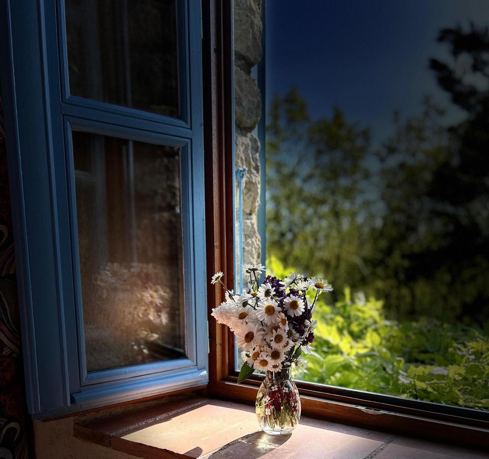 Le Clos Pastel Chambres D'Hotes & Gite Virac 外观 照片